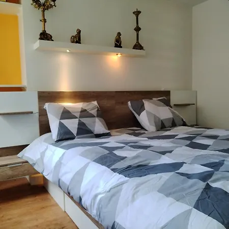 Ubytování v soukromí Location D'une Et D'une Salle De Bain Privee Dans Mon Ou Je Reside Egalement Pendant Votre Sejour Lyon