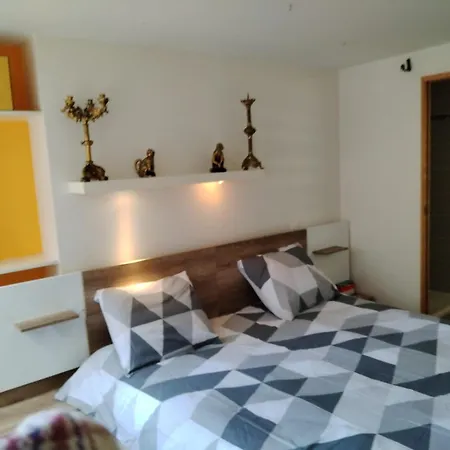 Ubytování v soukromí Location D'une Et D'une Salle De Bain Privee Dans Mon Ou Je Reside Egalement Pendant Votre Sejour Lyon