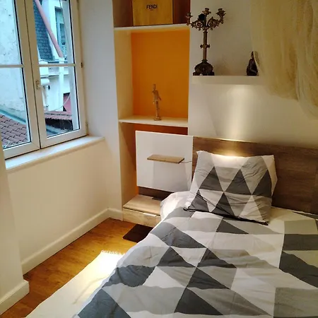 Location D'une Et D'une Salle De Bain Privee Dans Mon Ou Je Reside Egalement Pendant Votre Sejour Lyon